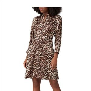 Equipment Cheetah Print Silk Adalicia Dress